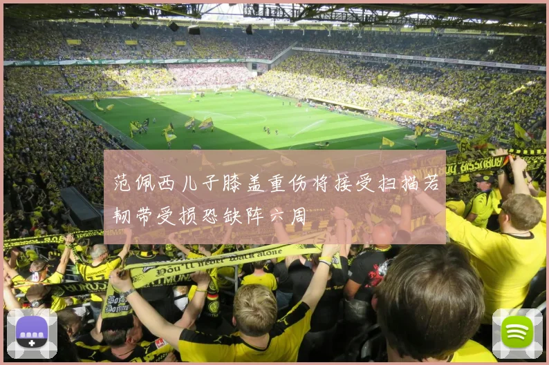 范佩西儿子膝盖重伤将接受扫描若韧带受损恐缺阵六周