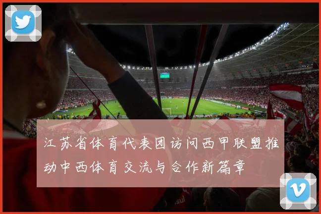 江苏省体育代表团访问西甲联盟推动中西体育交流与合作新篇章