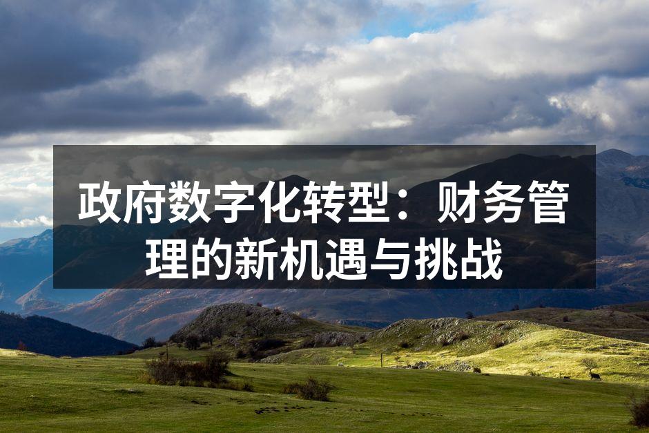 政府数字化转型：财务管理的新机遇与挑战