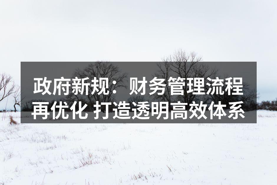 政府新规：财务管理流程再优化 打造透明高